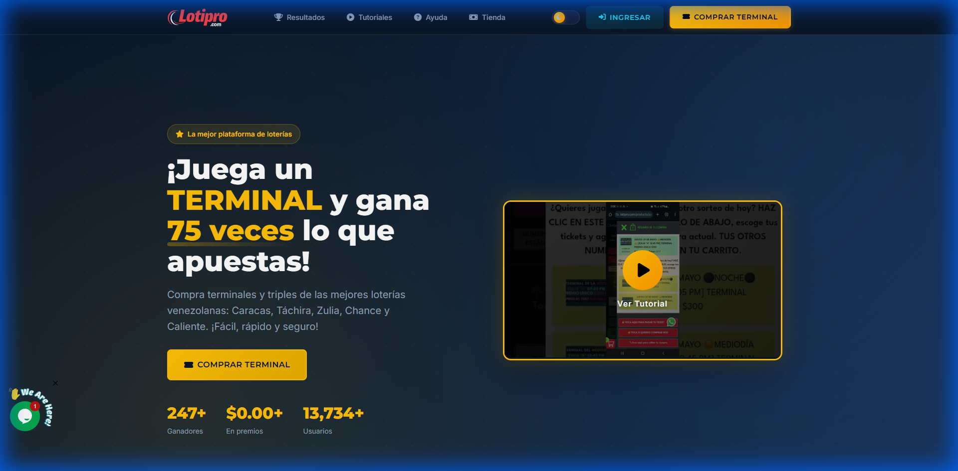 Botón INGRESAR en el header de LotiPro